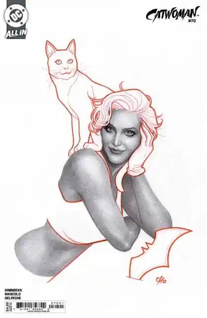 CATWOMAN #70 CVR B FRANK CHO CARD STOCK VAR | DC COMICS | NOVEMBER 2024